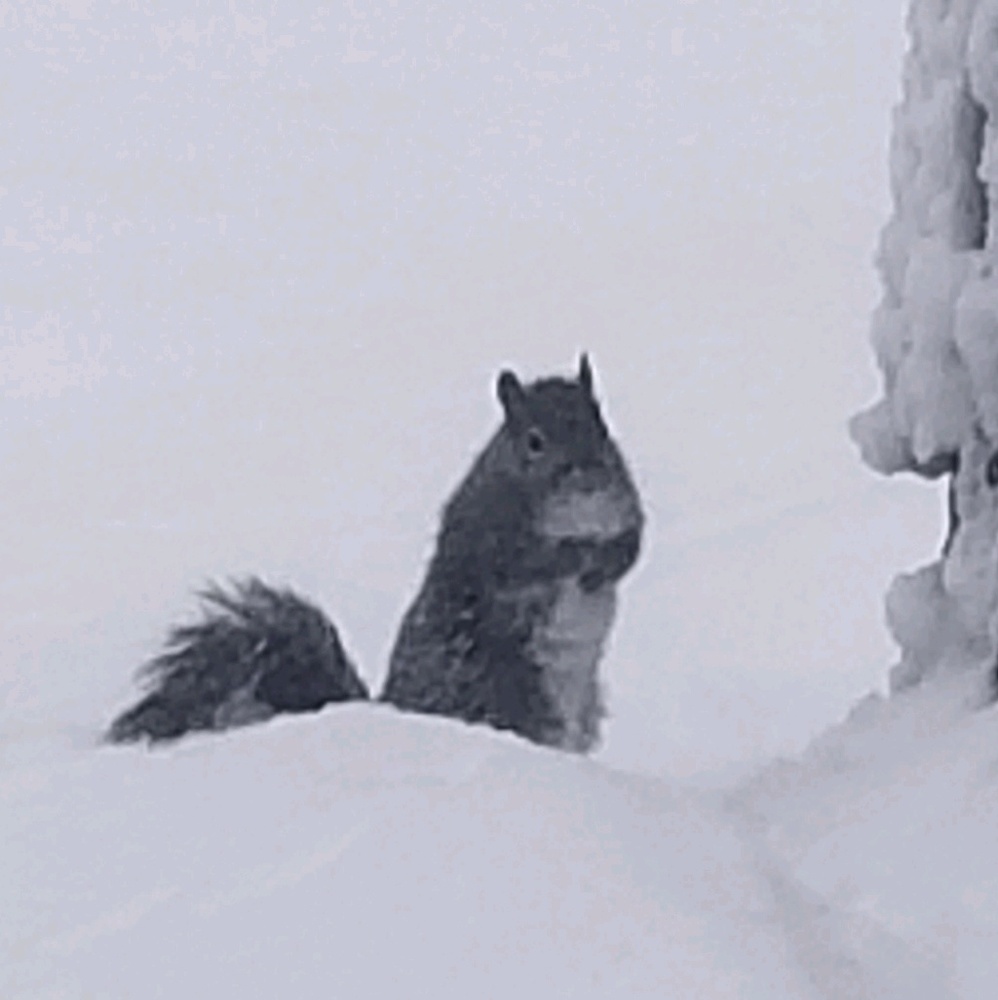 Meet your Posher, Ewa